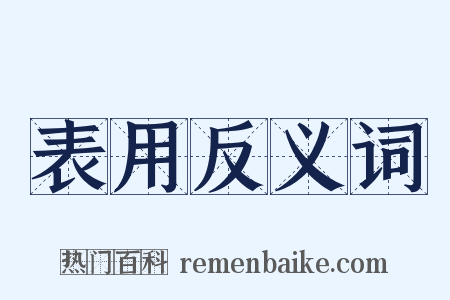 表用反义词是什么意思的图片